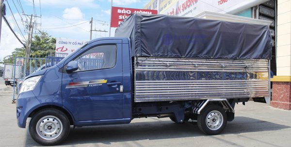 Xe tải Tera 100